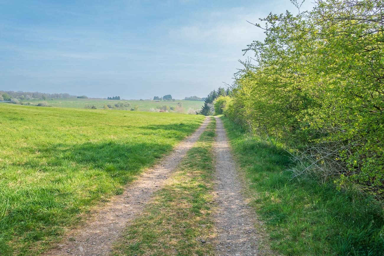 Mit Sträuchern halbseitig gesäumter Feldweg