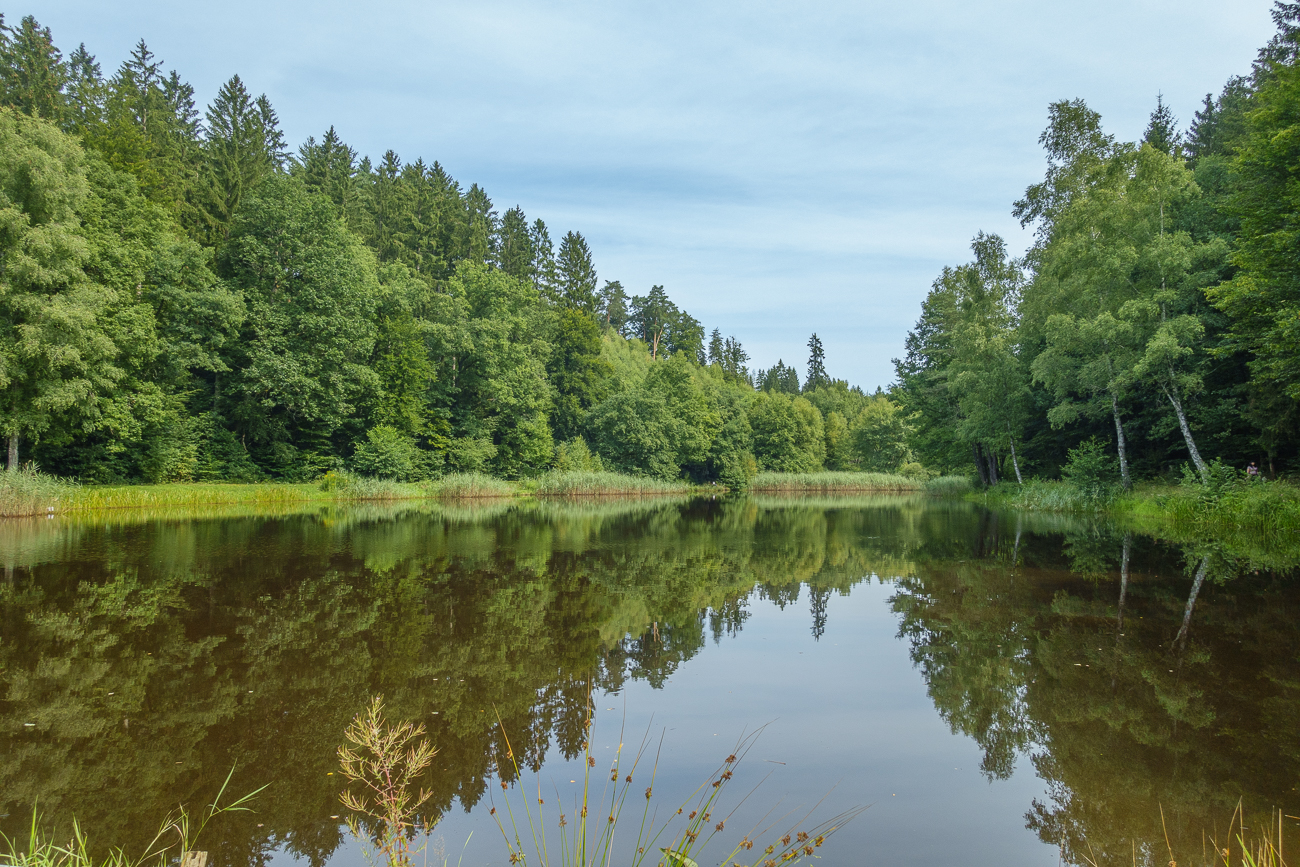 Am Sägeweiher