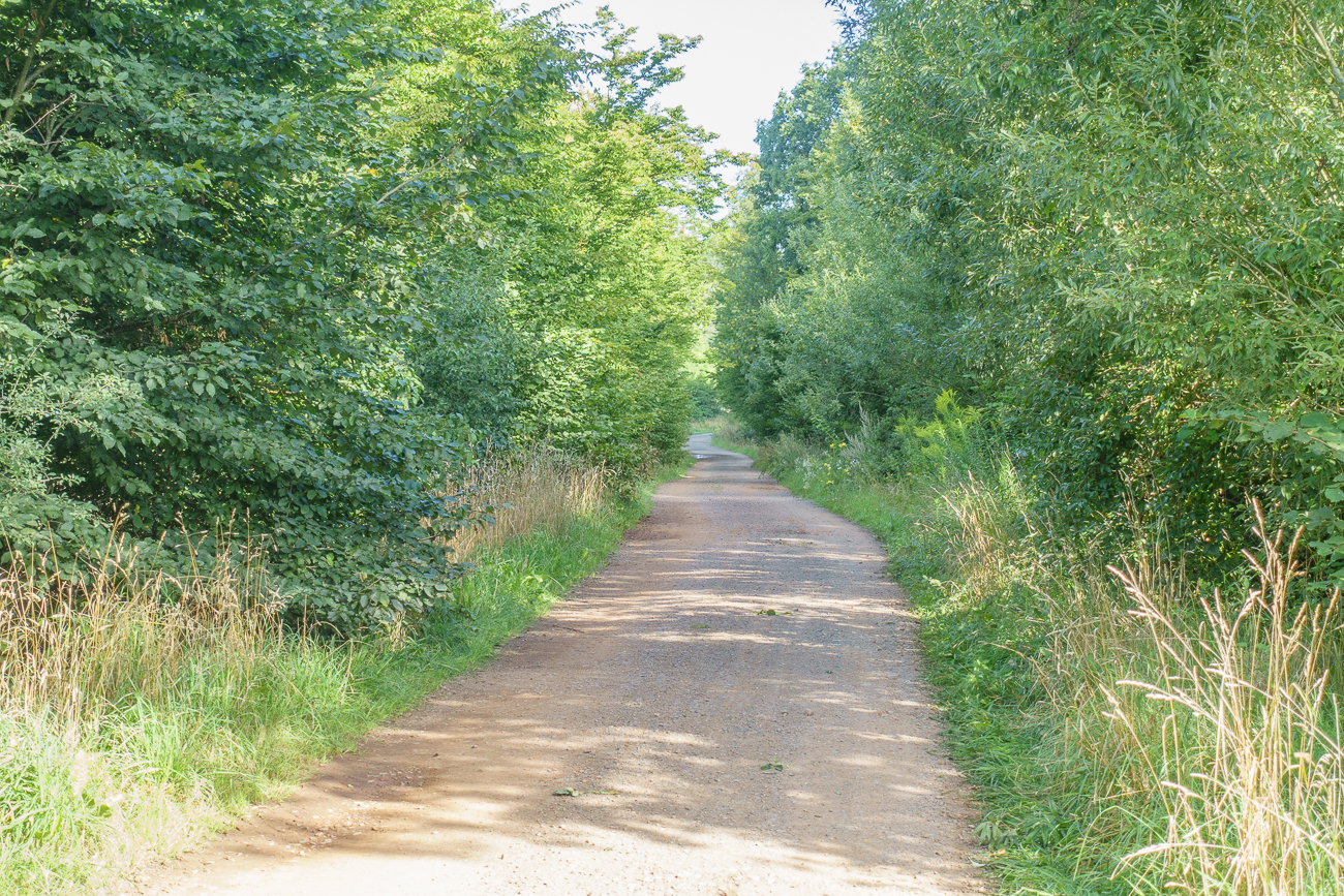 Durch den Wald ...