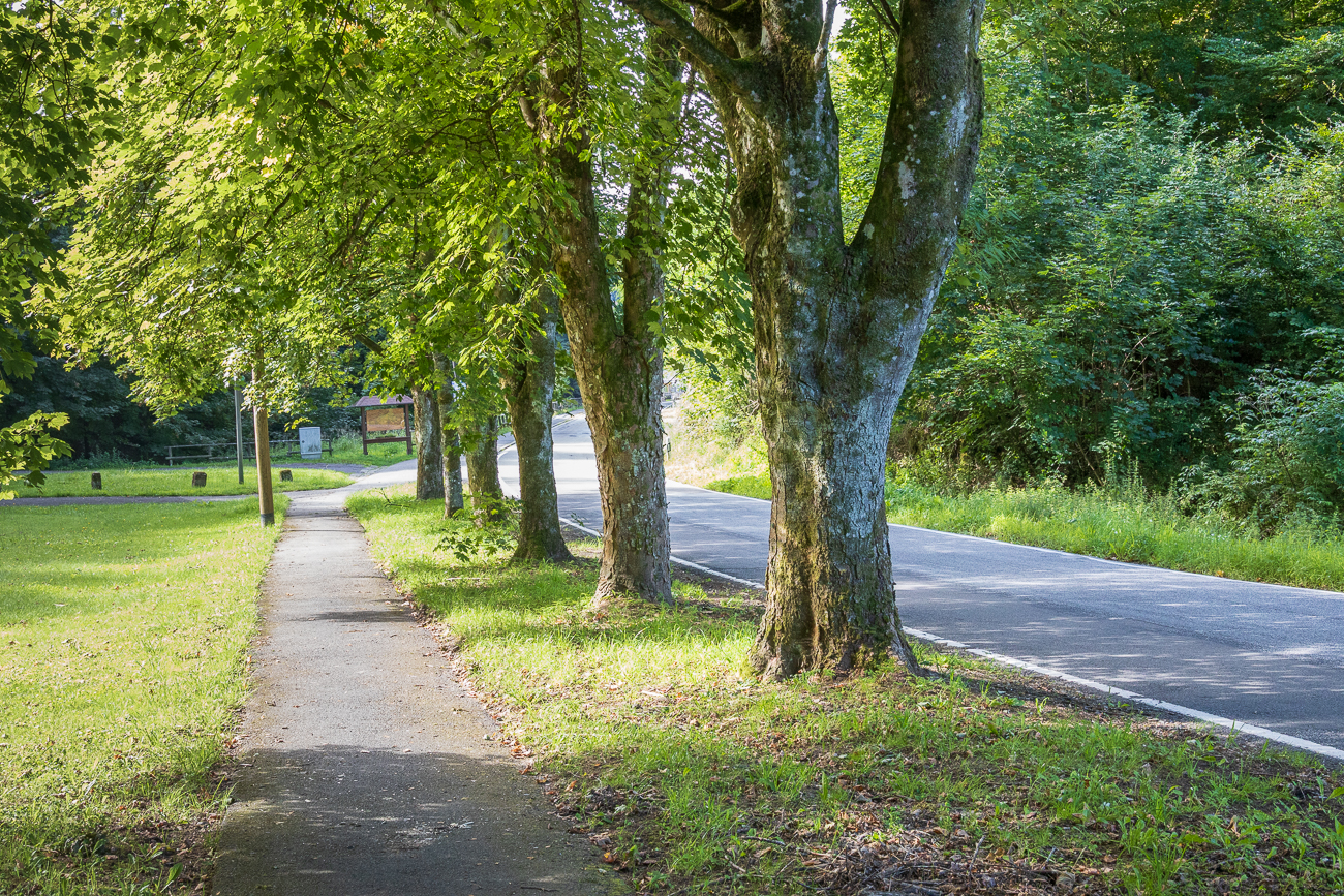 Kleine Allee