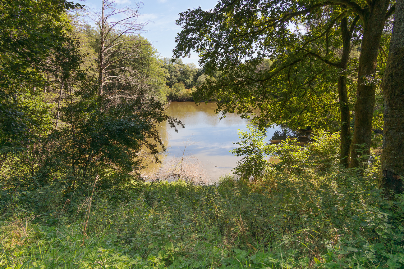 Teich im Ostertal