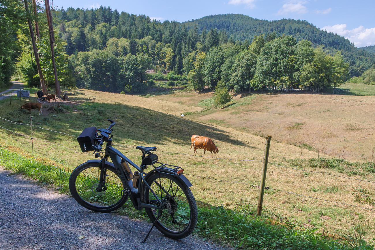 Aufstieg zum K&auml;ppele bei Bad Herrenalb