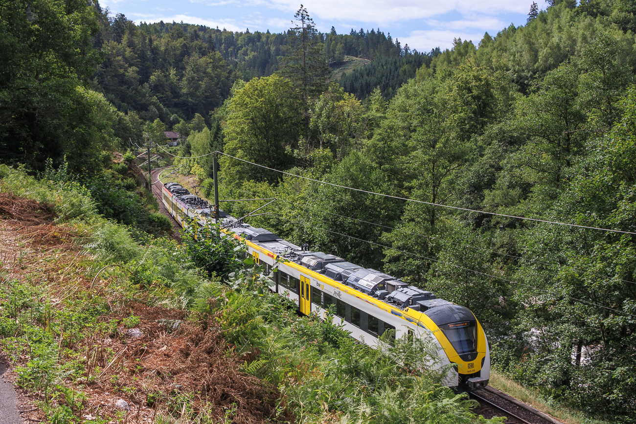 Zug und (Karlsruher) Stadtbahn teilen sich die Strecke bis nach Freudenstadt