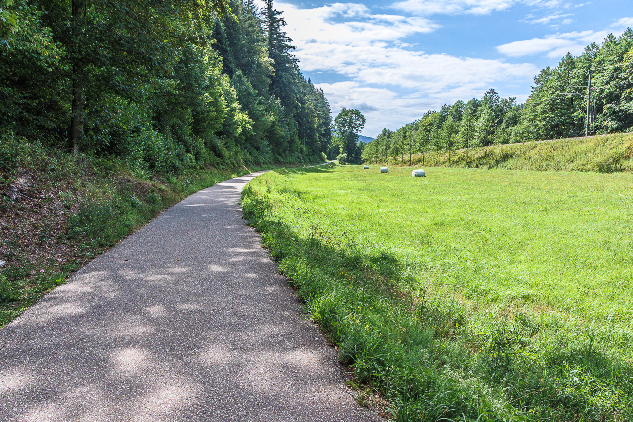 Weiter geht die Fahrt ...