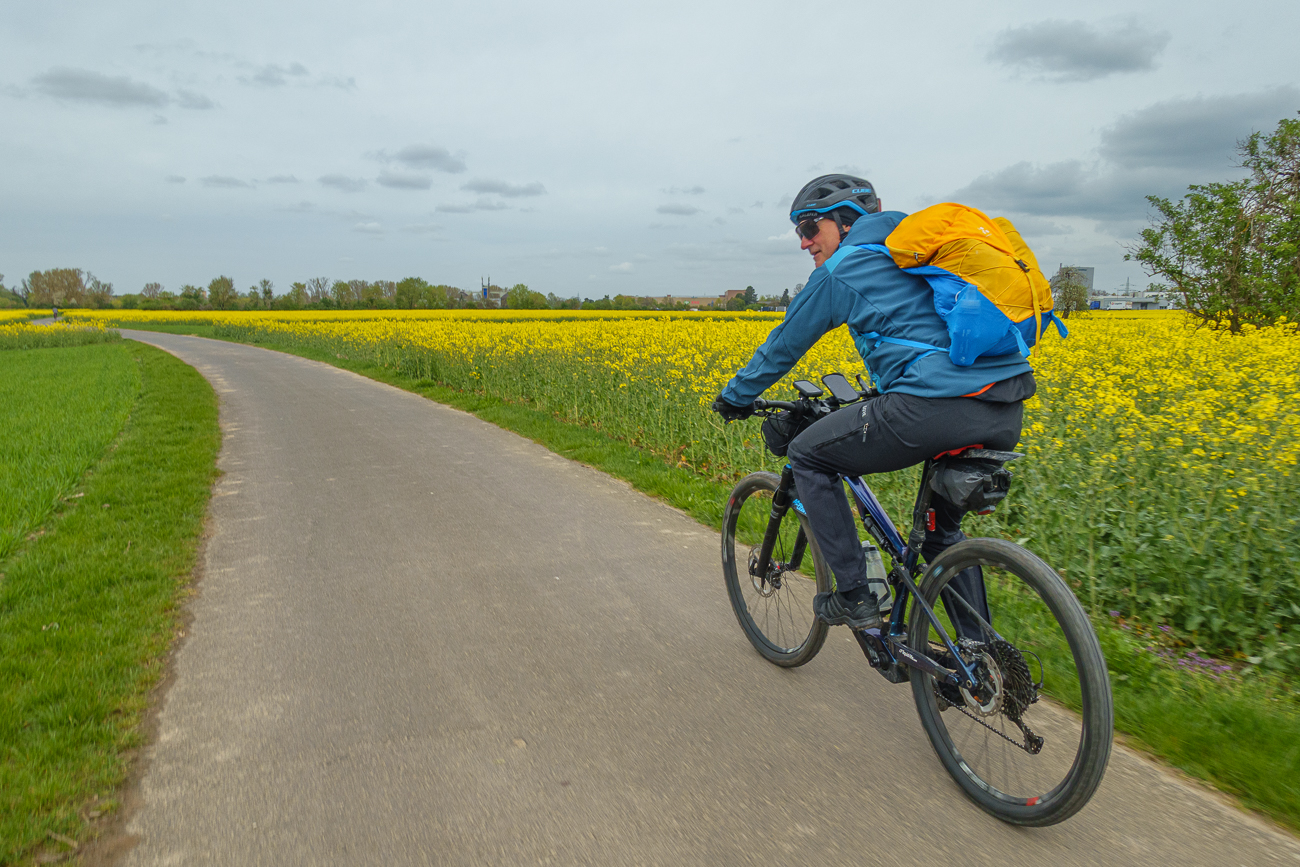 Vom Raps geht momentan nur Pollenflug als Gefahr aus