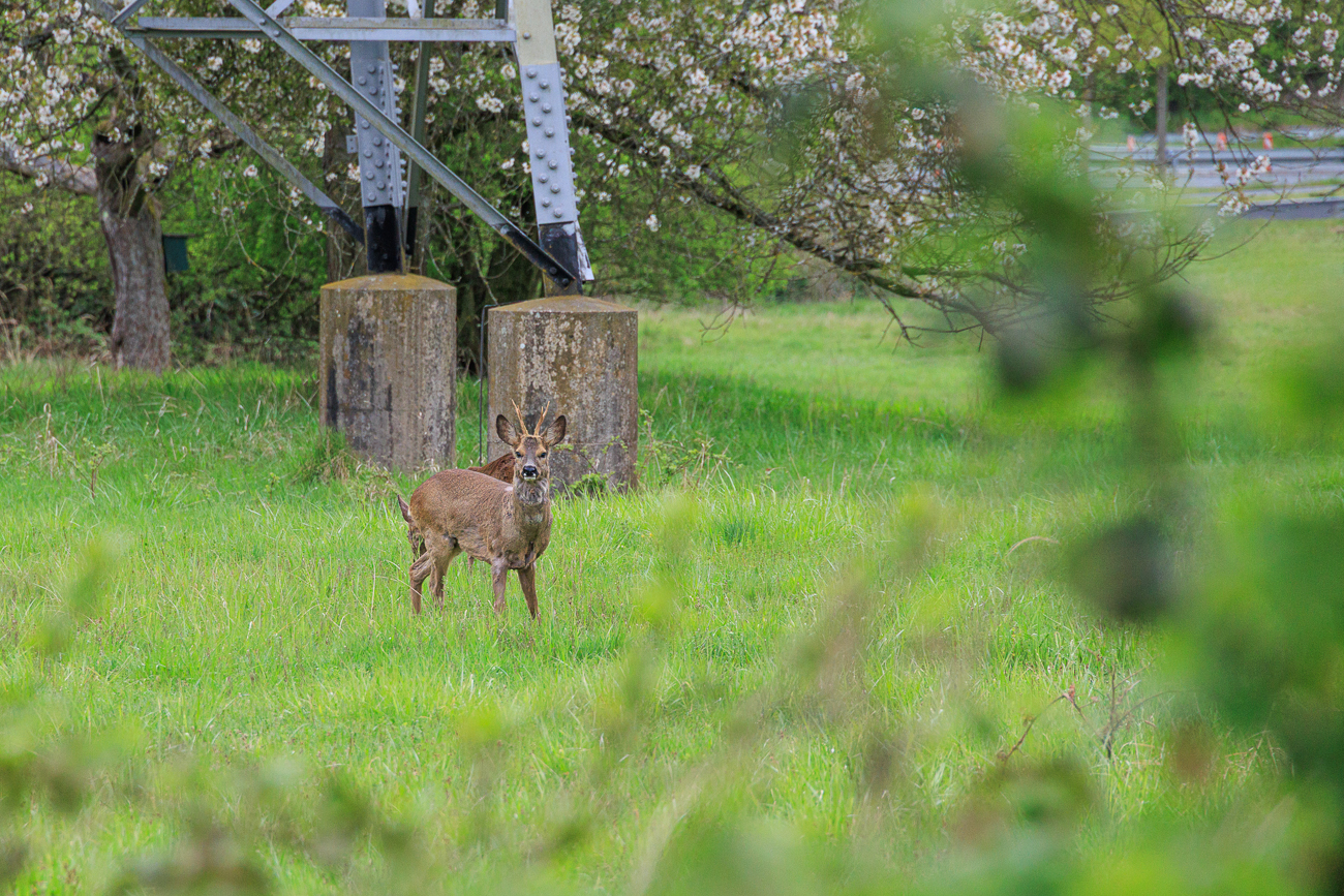 Motive h&auml;tte es ;-)
