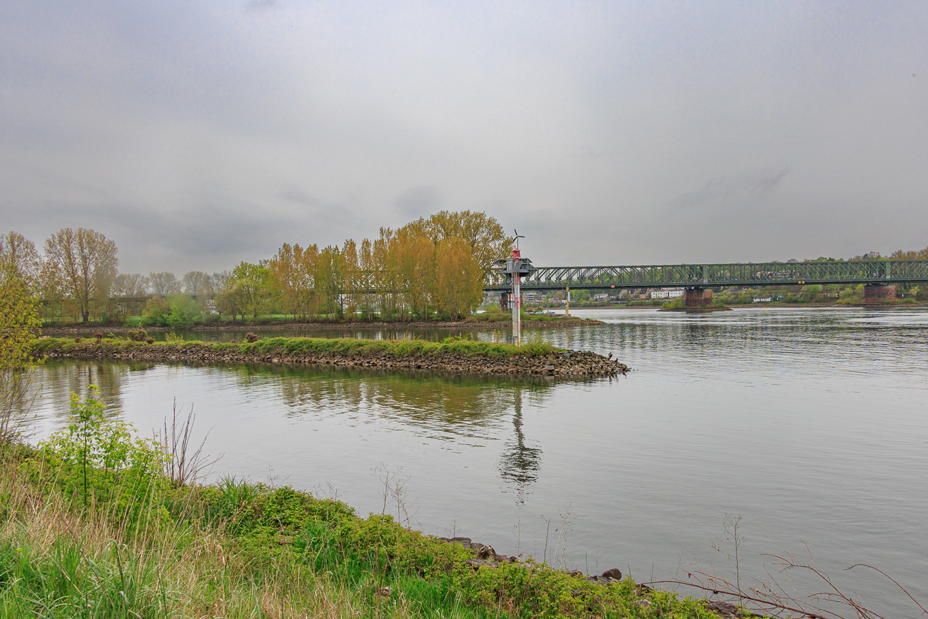 Die M&uuml;ndung des Mains in den Rhein (Mainspitze)