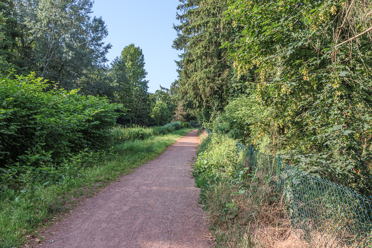 Auf dem Weg zum Einstieg in den Mühlenradweg an der L465