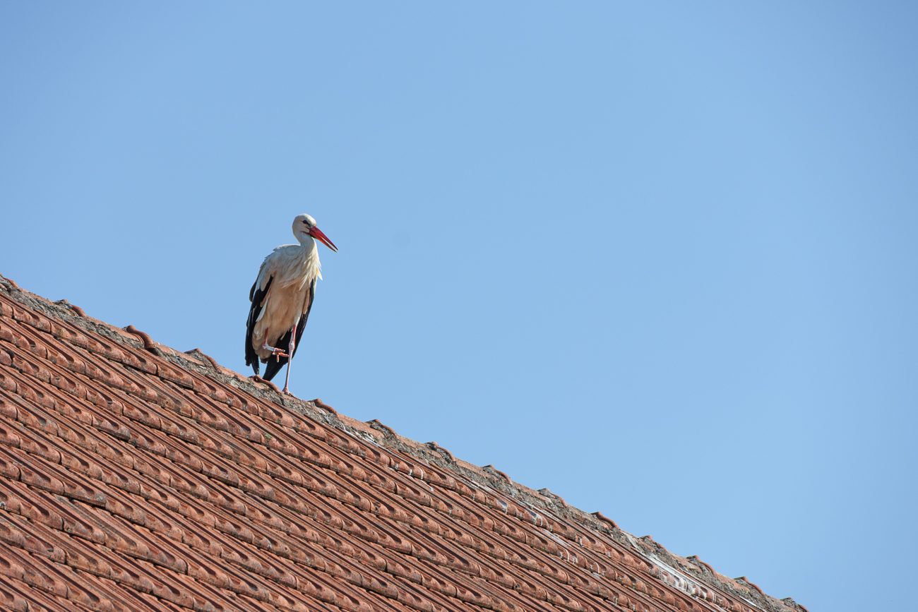 Ein Elternteil wacht auf dem Dach gegenüber
