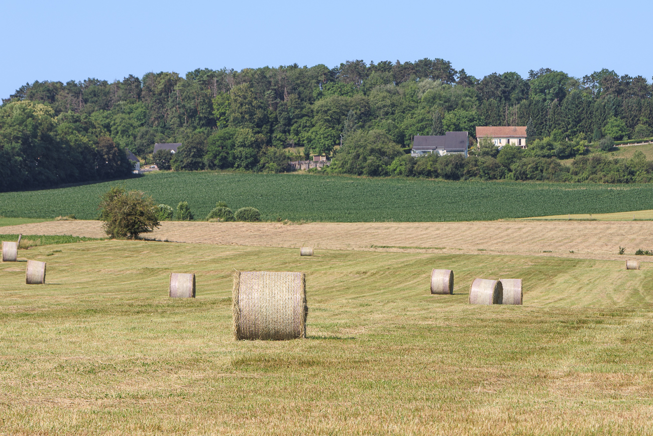 Heuballen auf einem Feld