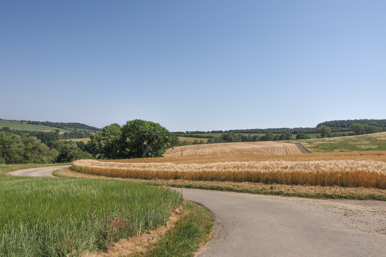 Durch die Felder nach Rheinland-Pfalz zurück