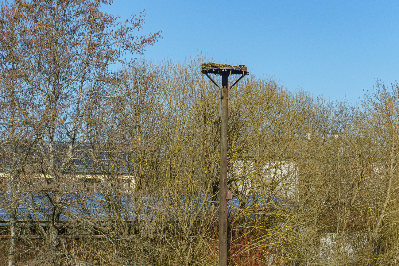 Das Storchennest in Asweiler ist leider leer. Vielleicht kommen die St&ouml;rche ja noch.