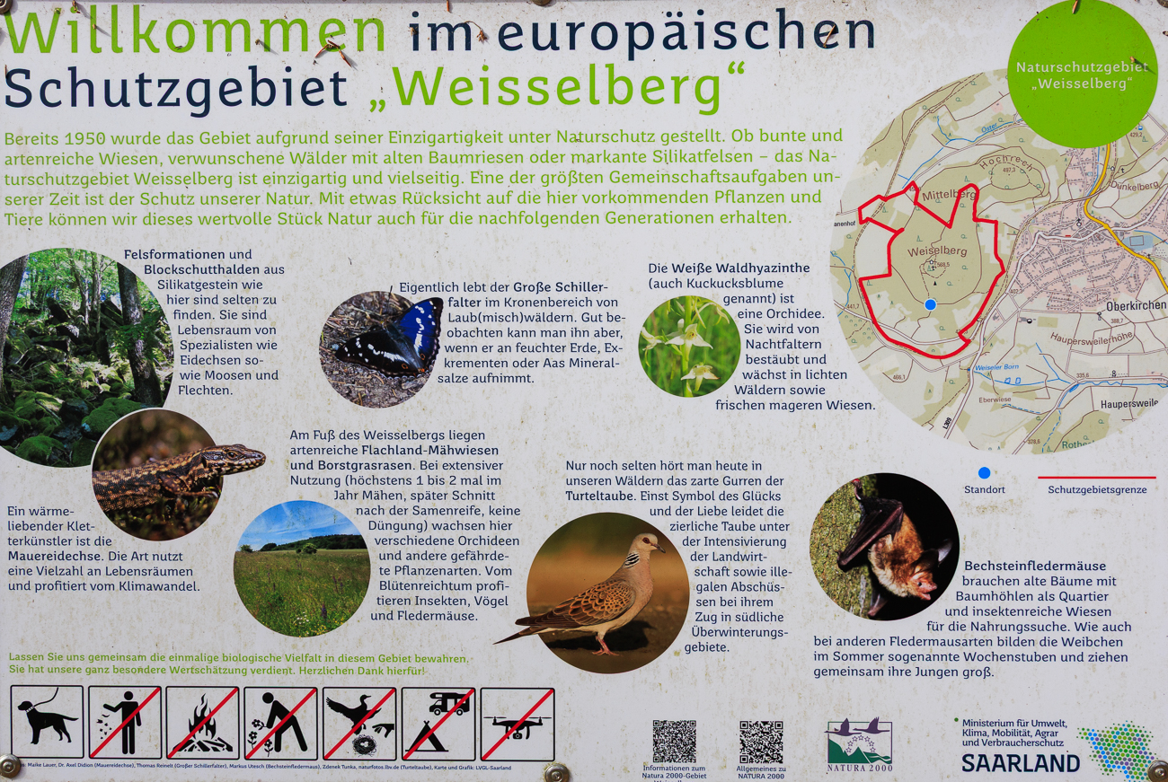 Infotafel zum Schutzgebiet Weisselberg