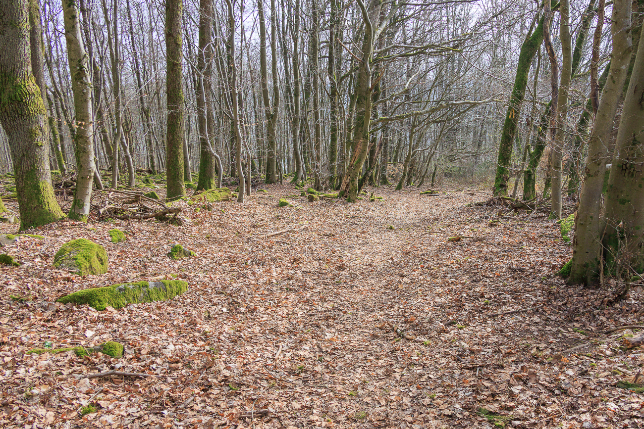 Irgendwo habe ich wohl ein Schild &uuml;bersehen ...