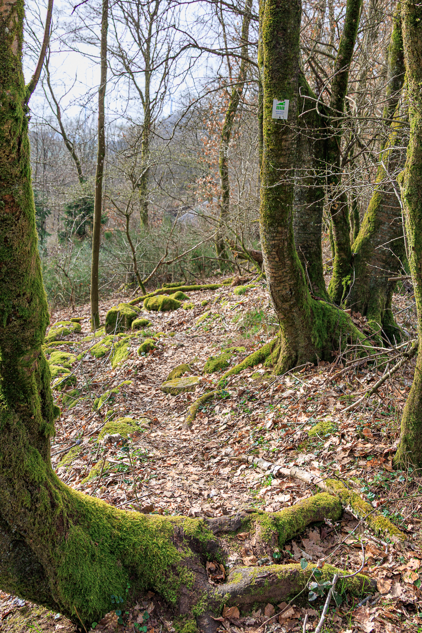 Das ist eher ein Wanderpfad