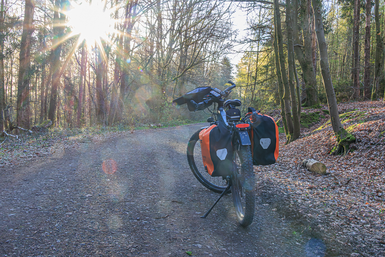 Sonniger Weg im Wald