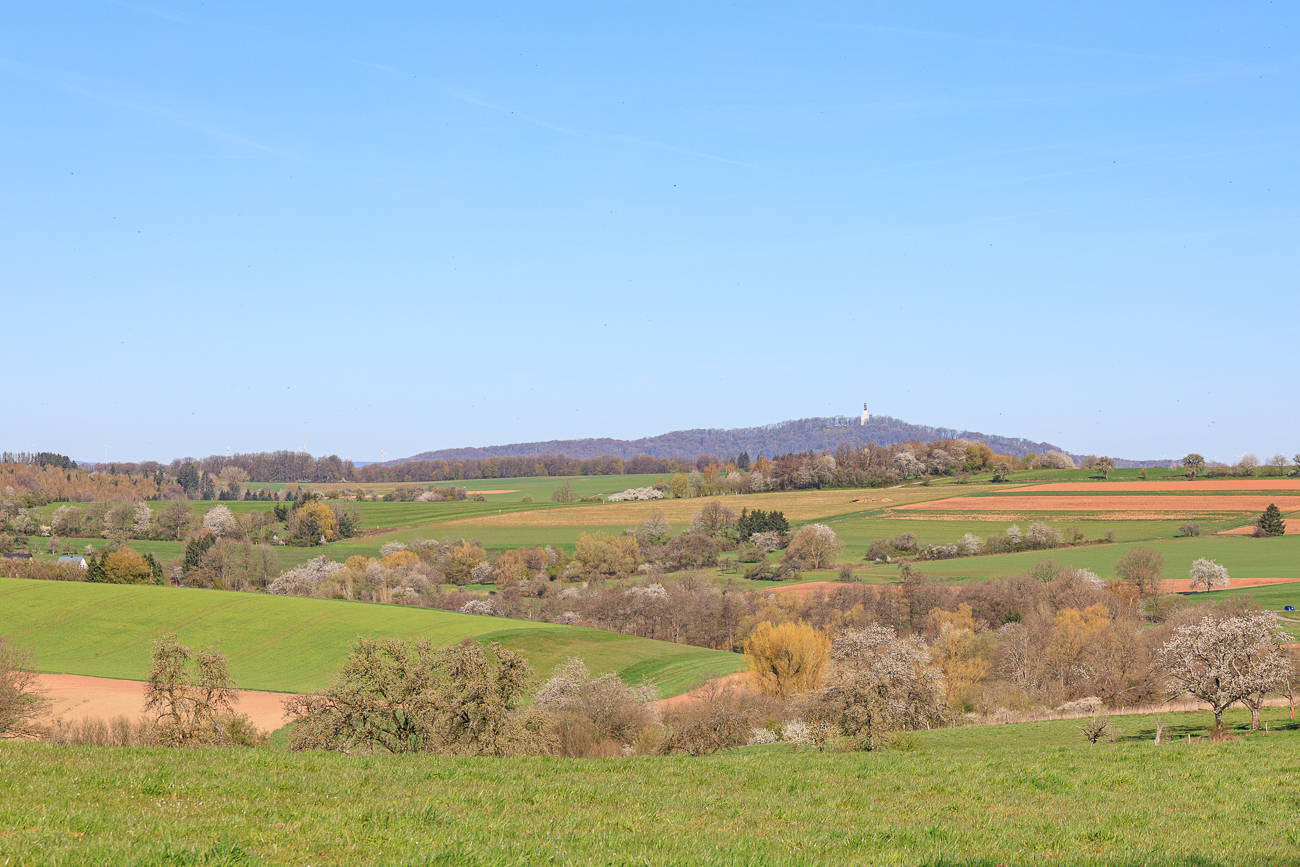 Schon wieder der Schaumbergturm