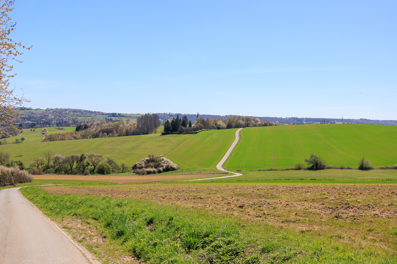 Sch&ouml;ne Streckenf&uuml;hrung