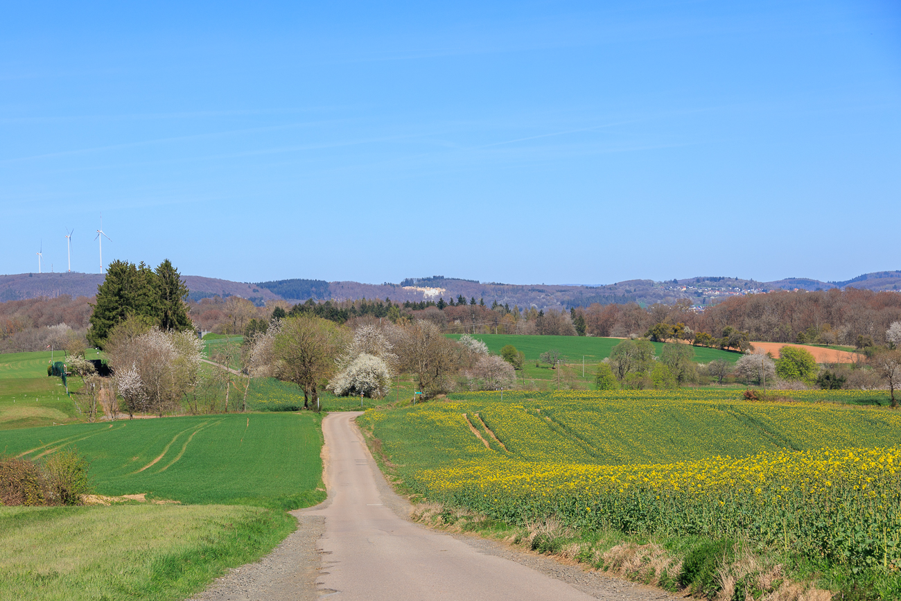 Hier macht das Fahren Spa&szlig;, nicht nur weil es bergab geht ;-)