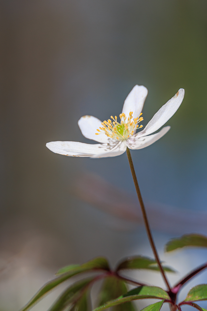 ... mag ich sehr gerne