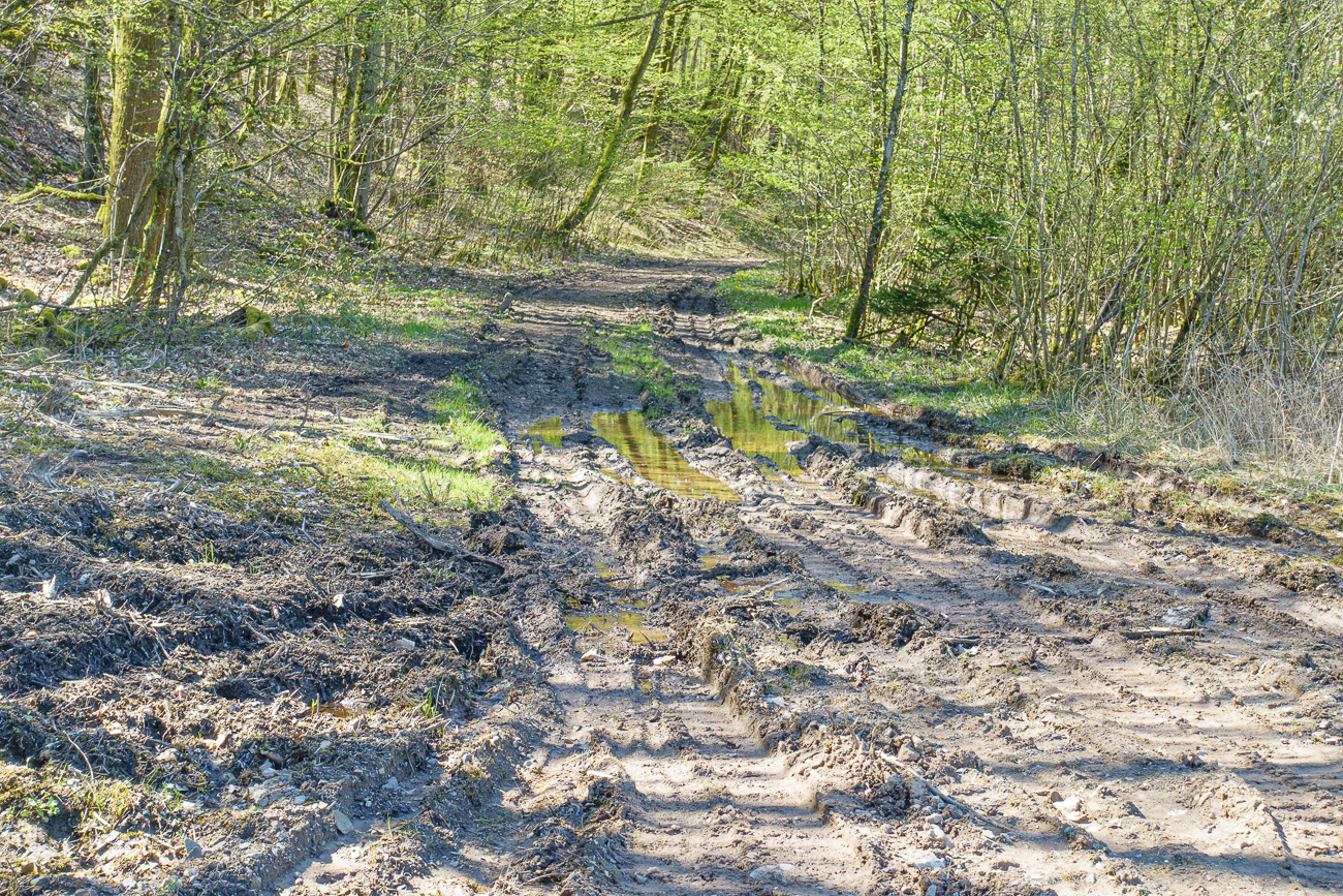 H&auml;tte ich doch lieber die andere Strecke genommen :-(