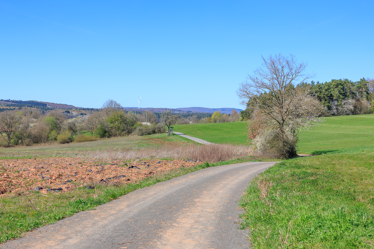 Hier f&auml;hrt es sich angenehmer