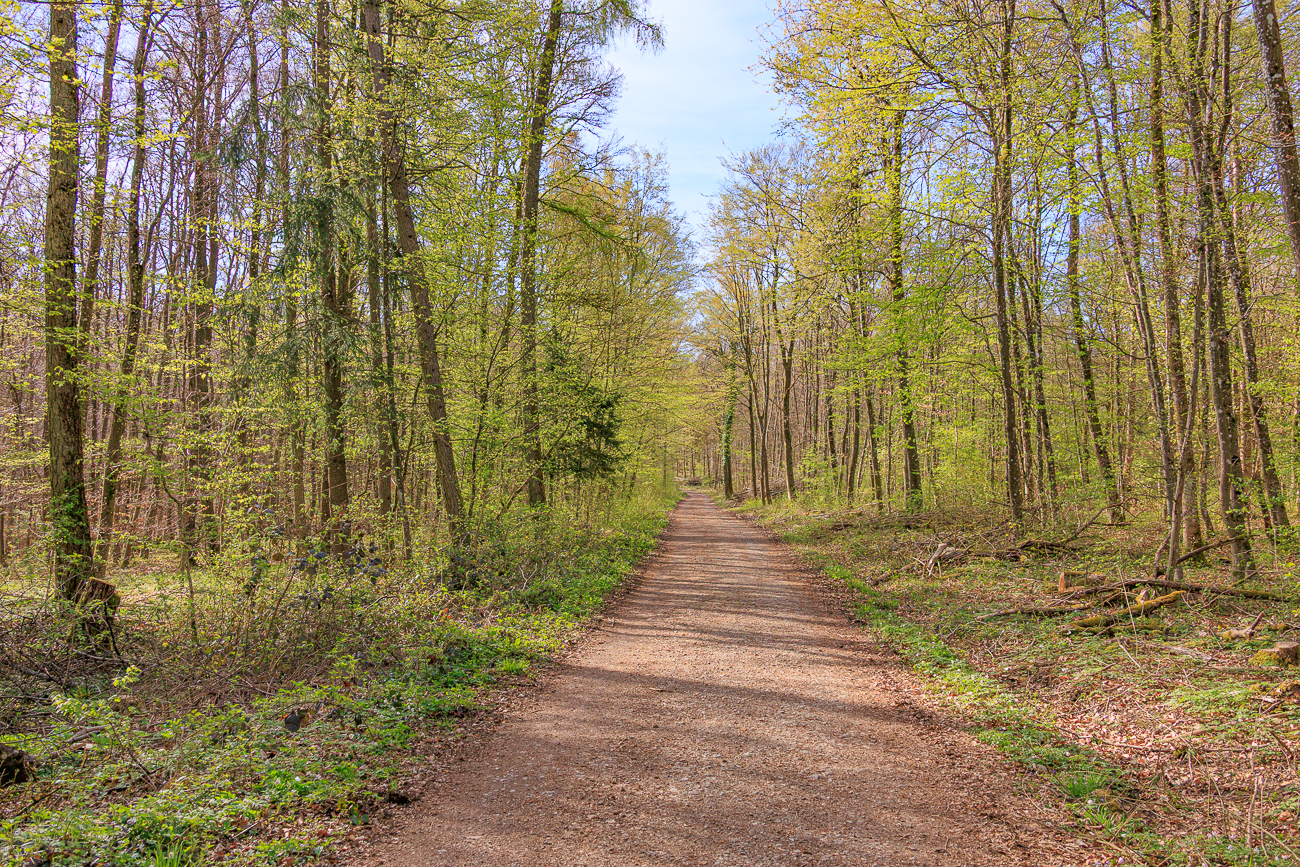 Zur Abwechslung mal rauer Boden