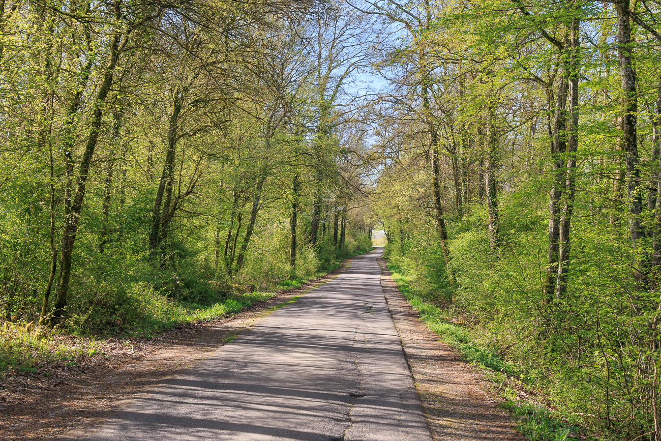 Irgendwie ist es im Bliesgau fr&uuml;her gr&uuml;n als bei uns
