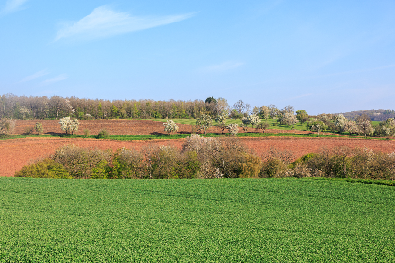 Fr&uuml;hlingslandschaft