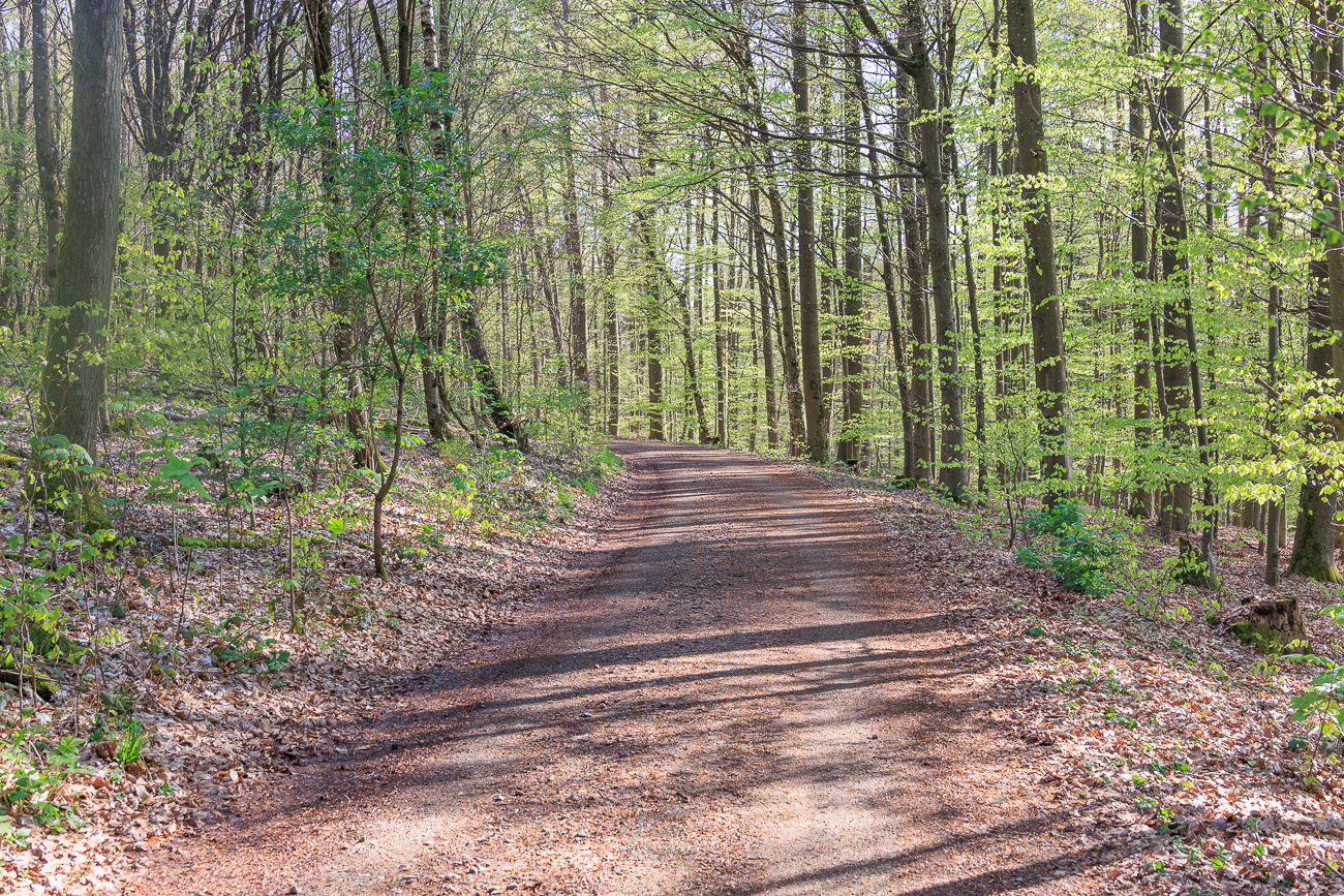Wieder mal geht es eine Anh&ouml;he hinauf