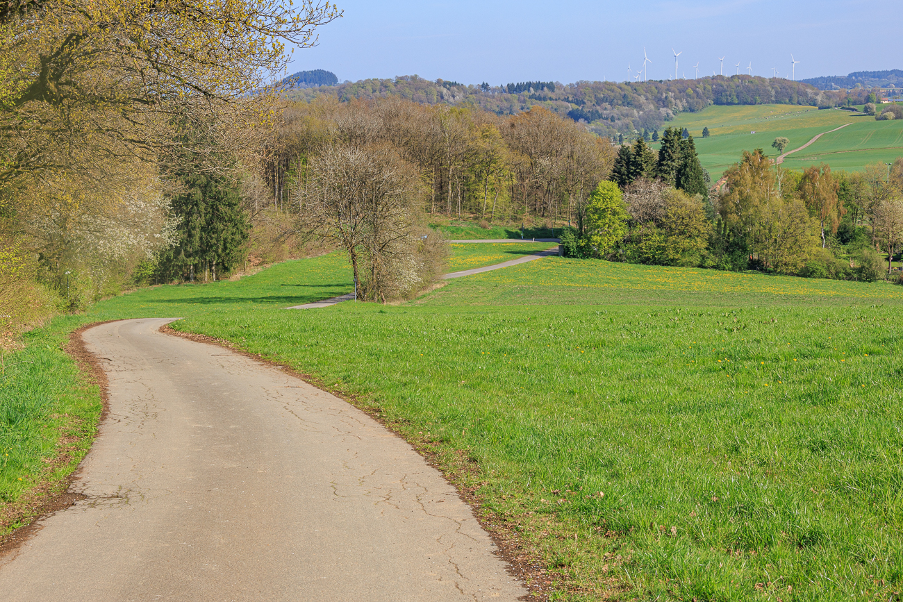 Hier geht's runter und da hinten wieder rauf