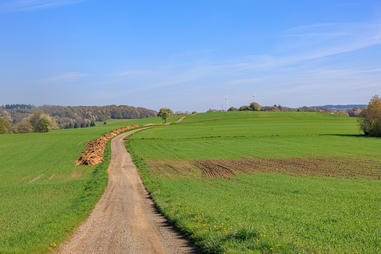 Hier wird der Weg etwas wellig