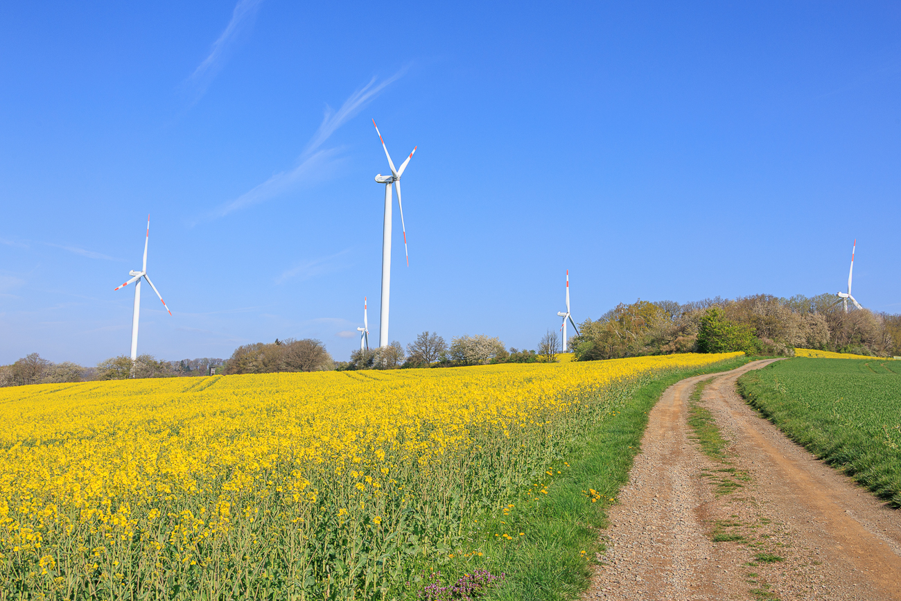 W&auml;re doch sch&ouml;n, wenn an jedem Windrad eine Ladestation w&auml;re ;-)