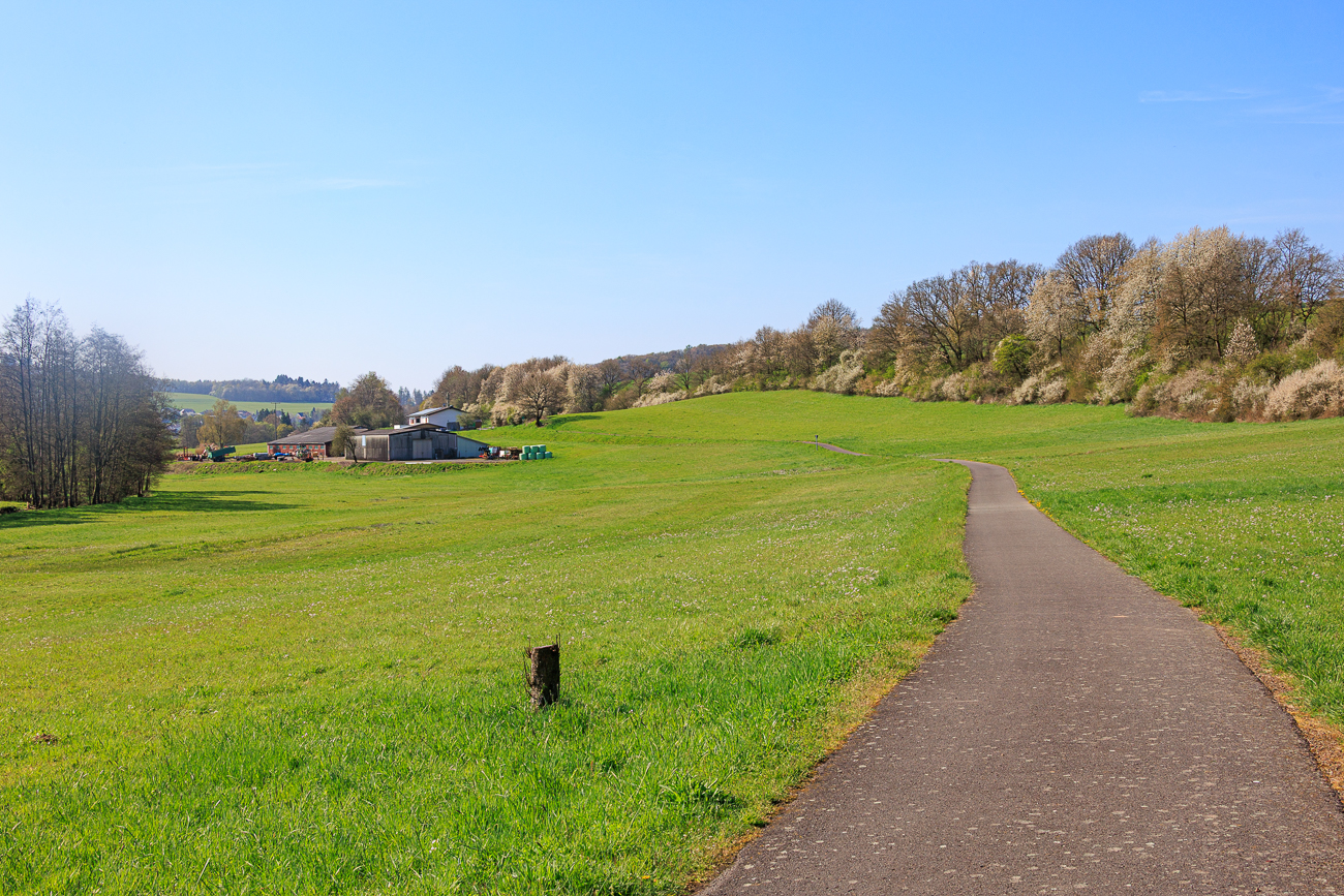 Radweg durch die Wiesen