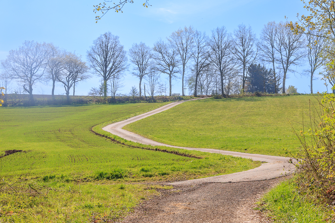 Auf der S-Kurve geht's den Berg hinauf