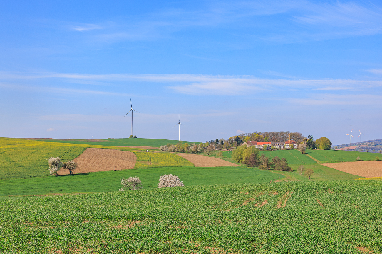 Blick &uuml;ber die Felder