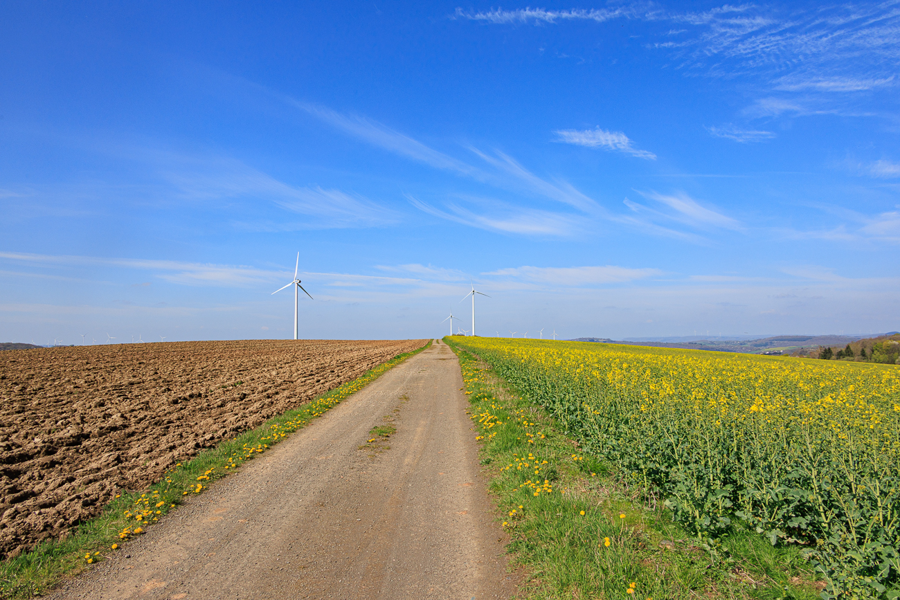 Den H&uuml;gel noch rauf, dann geht es bergab zur&uuml;ck nach D&ouml;rrenbach