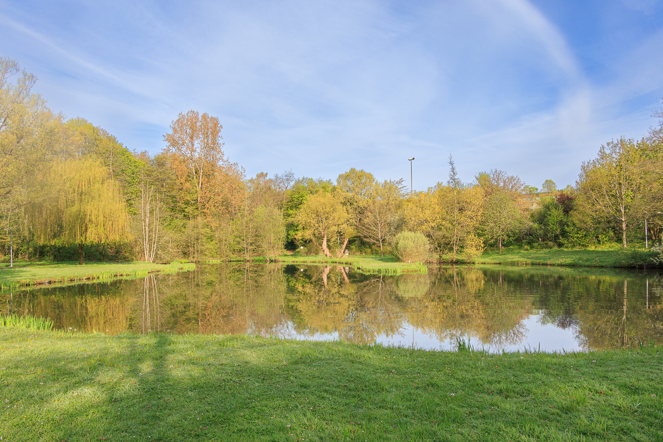 Am Lehmkaulweiher in Merchweiler