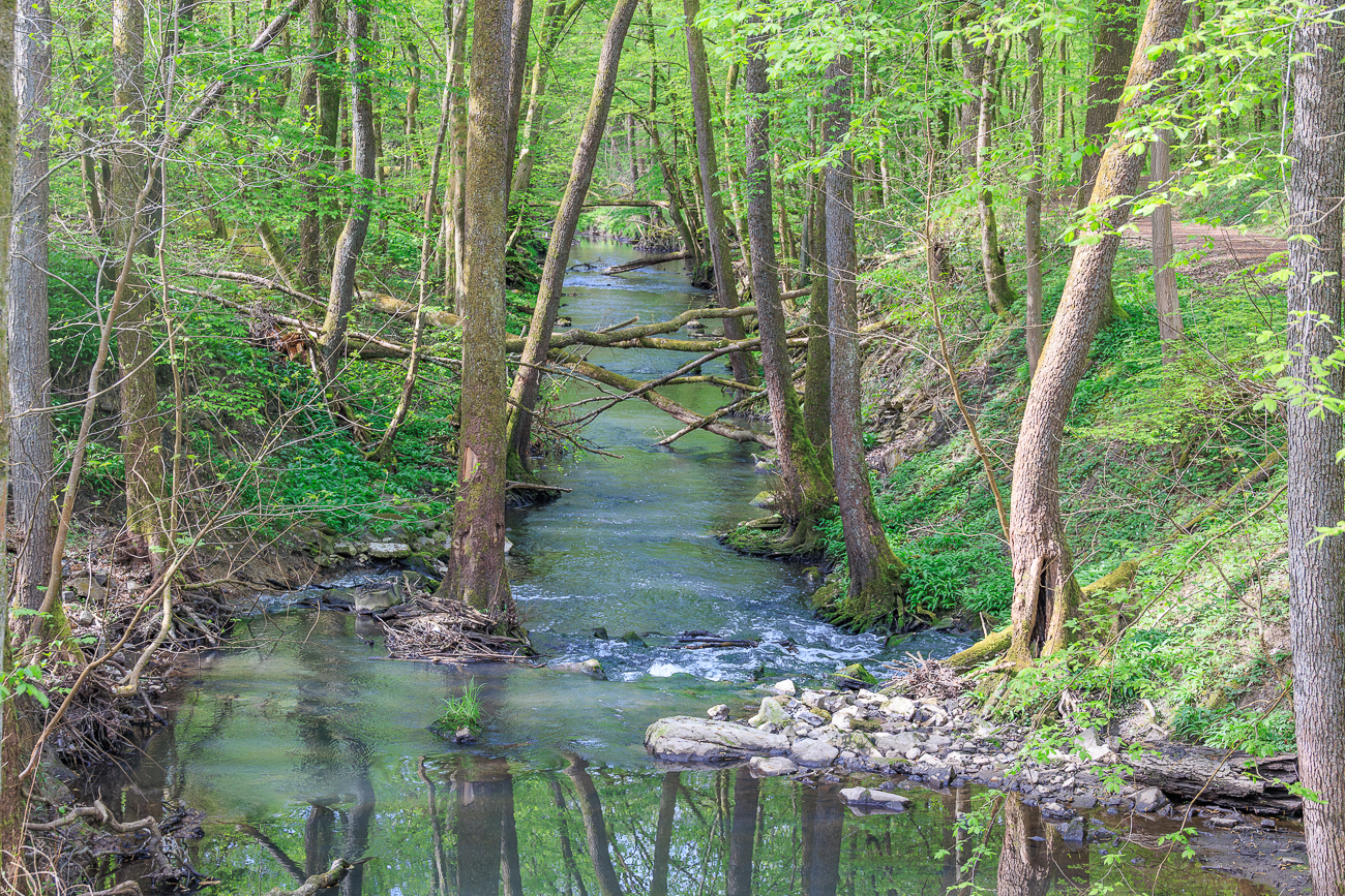 Blick nach rechts von der Br&uuml;cke auf den Fischbach