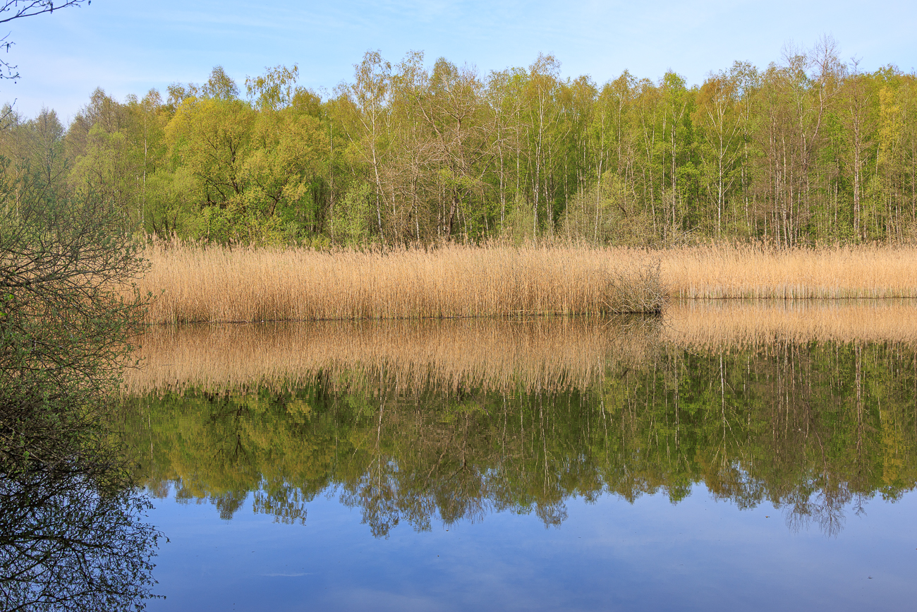 Am Absinkweiher im Fischbachtal