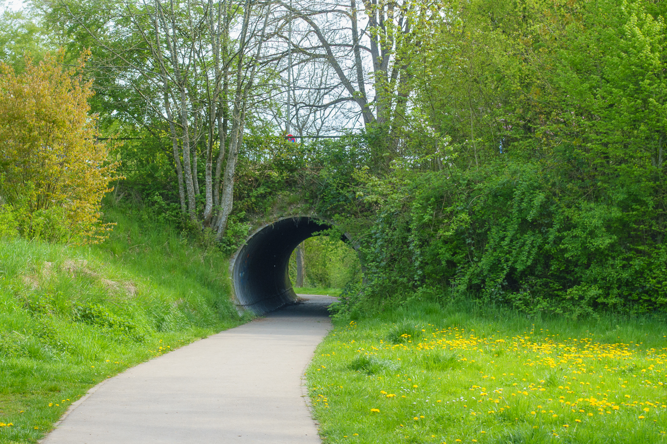 Stra&szlig;enunterf&uuml;hrung