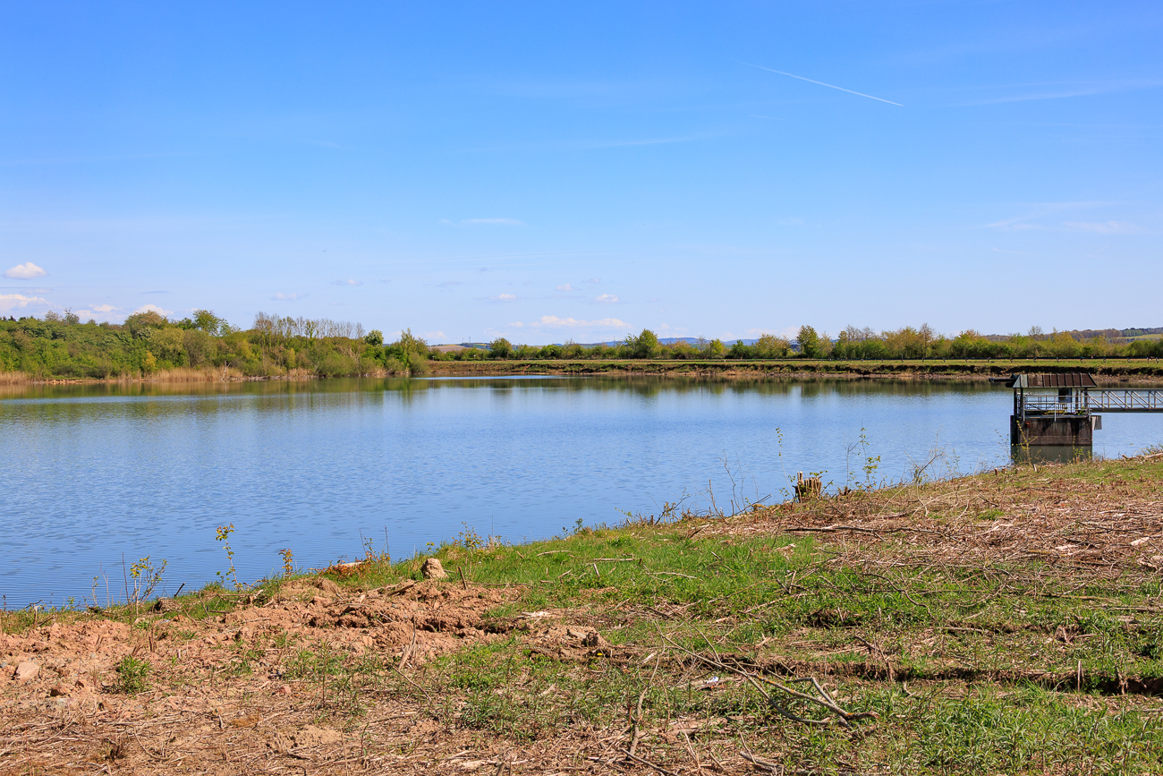 Ansinkweiher Hahnwiese in der Saarengeti