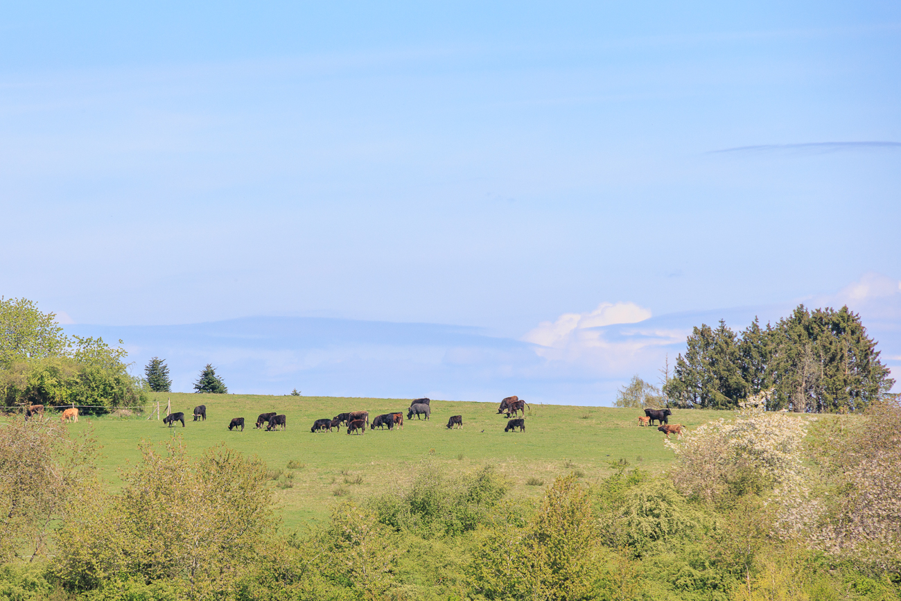 ... aber die sind zum Gl&uuml;ck weit weg ;-)