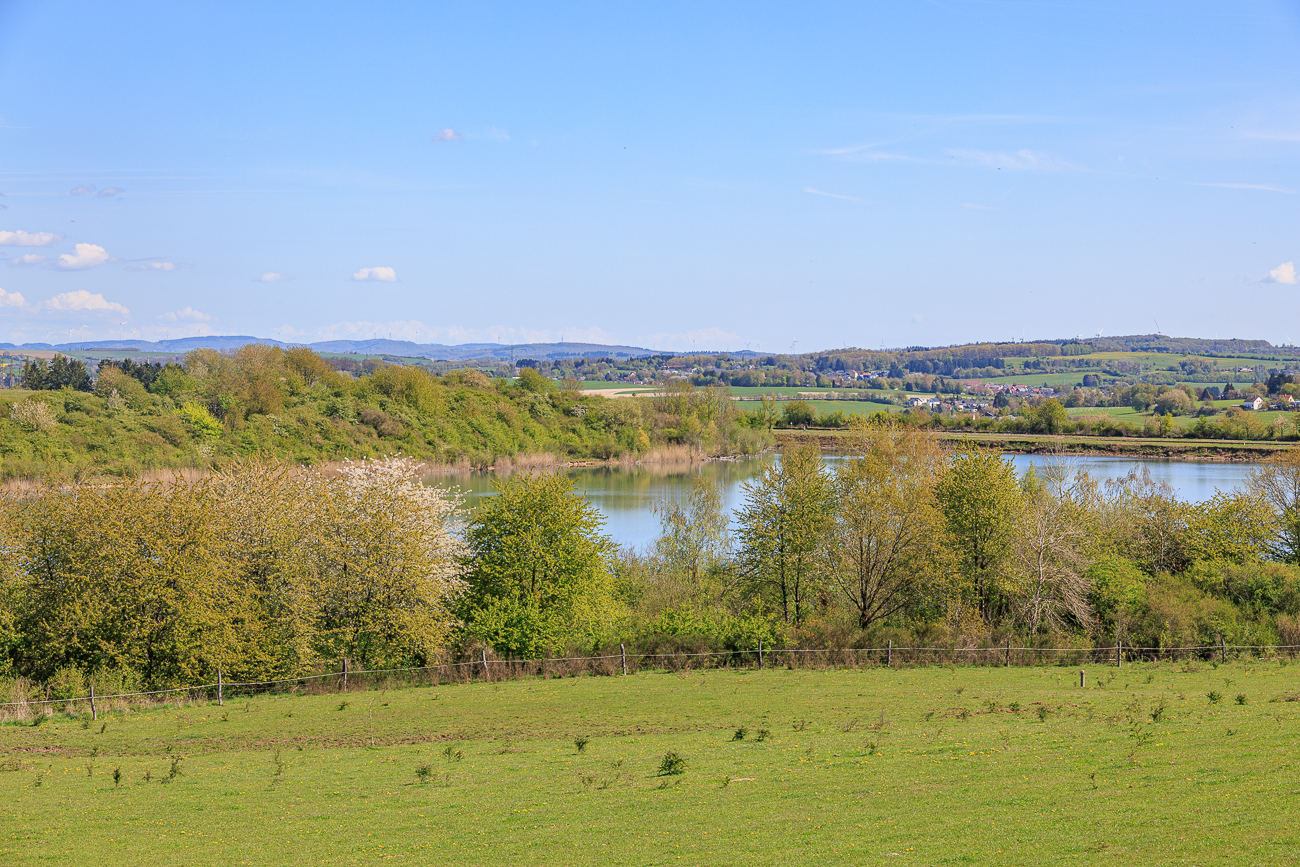 Blick von der Br&uuml;cke &uuml;ber den Absinkweiher ...