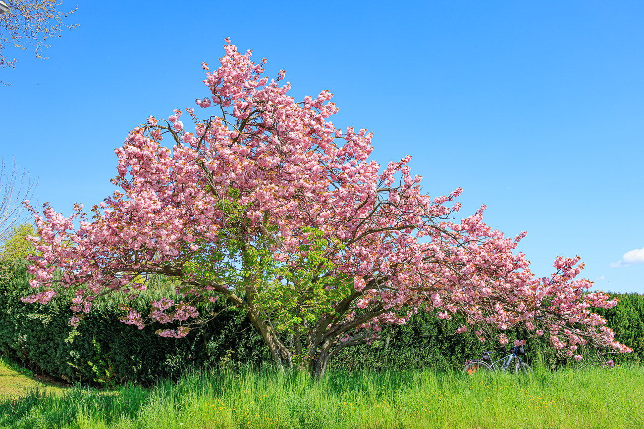 Fr&uuml;hlingsfarben