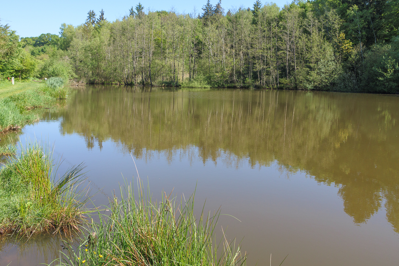 Am Wombacher Weiher