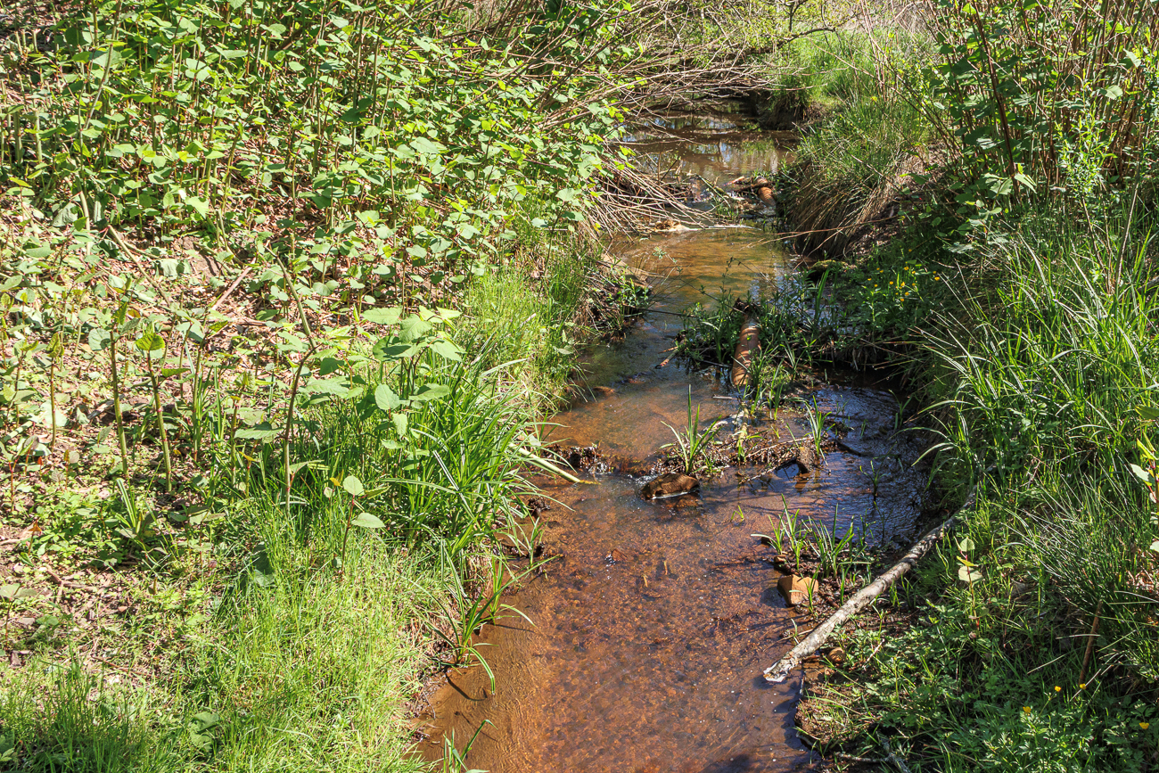 Am Kleberbach