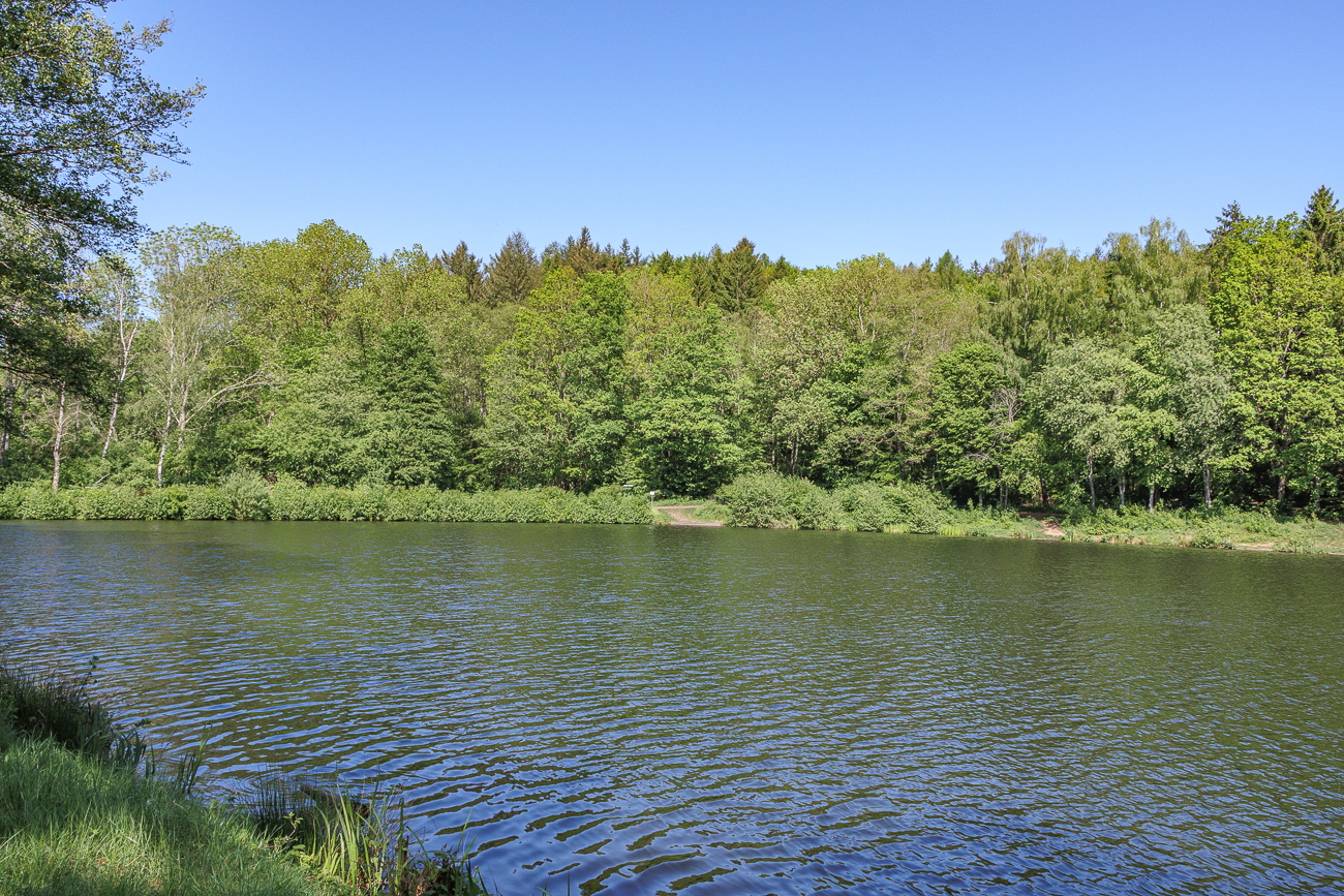Am Glash&uuml;tter Weiher