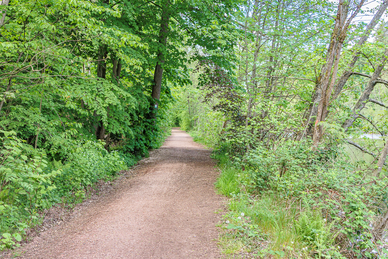 Uferweg