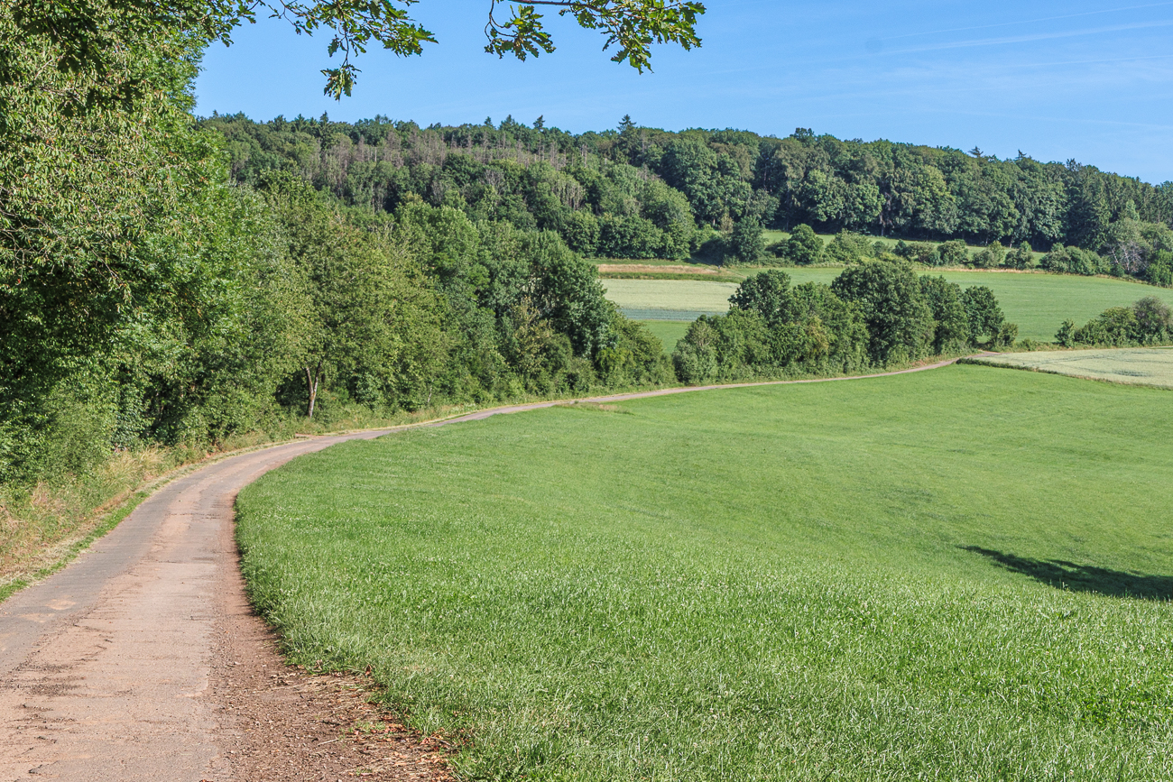 Langgezogene Kurve durch die Felder
